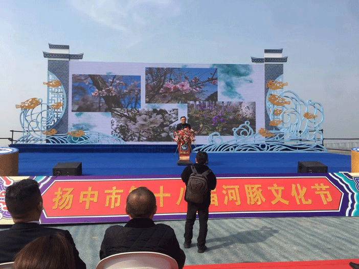 河豚文化"云上"传播,扬中第十八届河豚文化节开幕